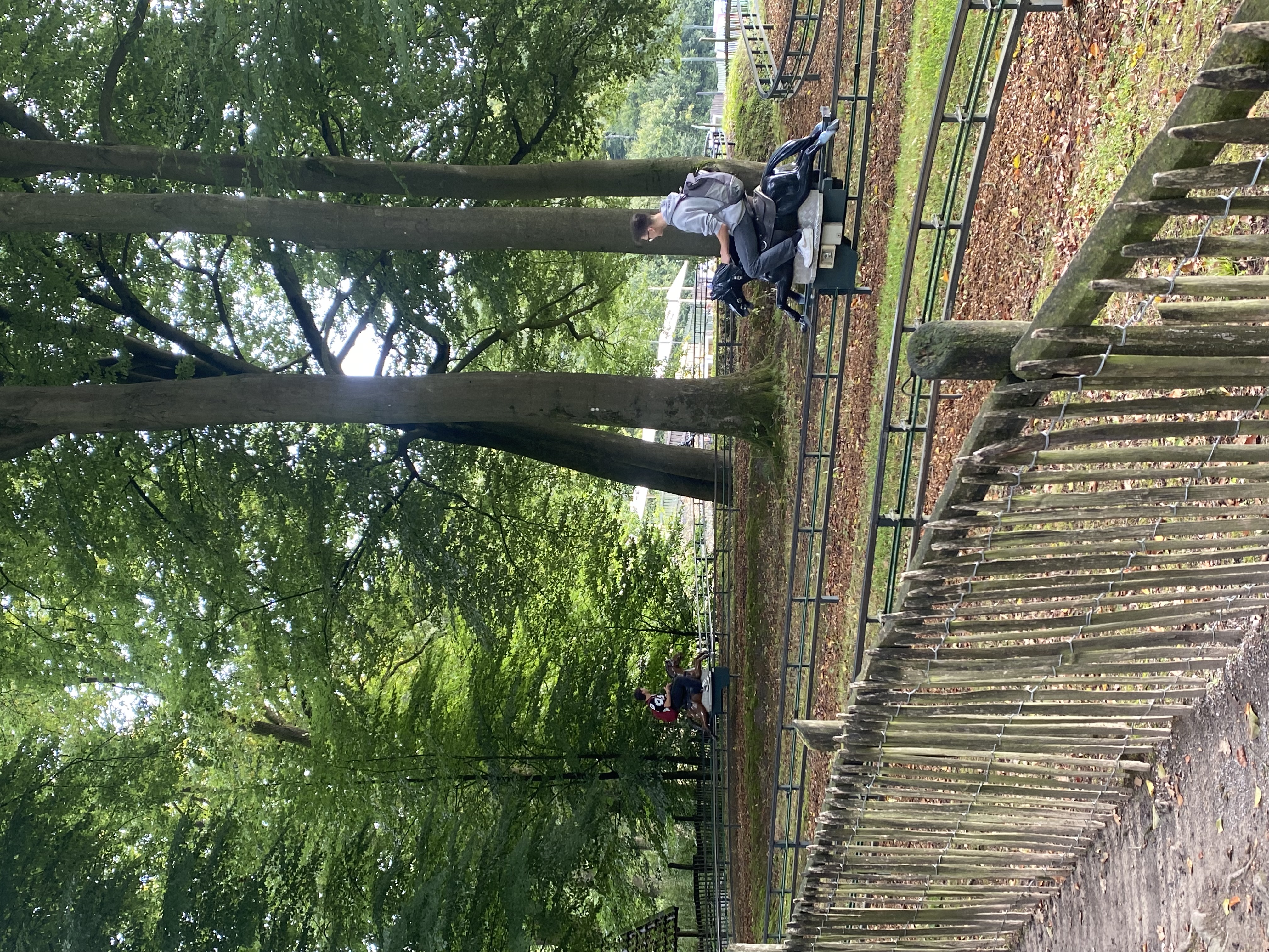 2025_09_22_Ketteler Hof_hoch 5.jpeg